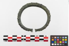 Foto von Bronzeperlarmreif (NHMW-PRAE-023800)